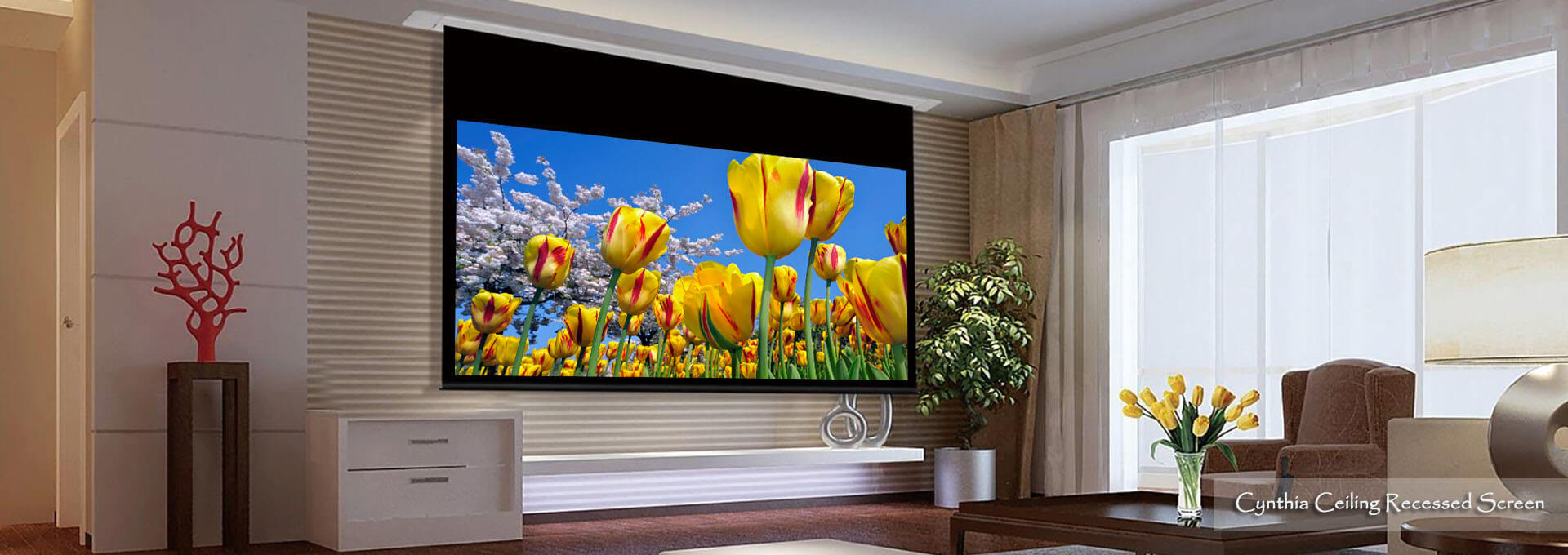 Projection Screen Manufacturer Ceiling Recessed Screen