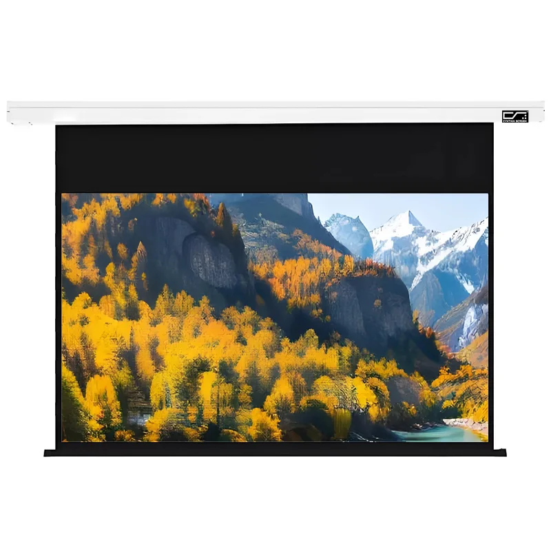 120 inch motorized projector screen