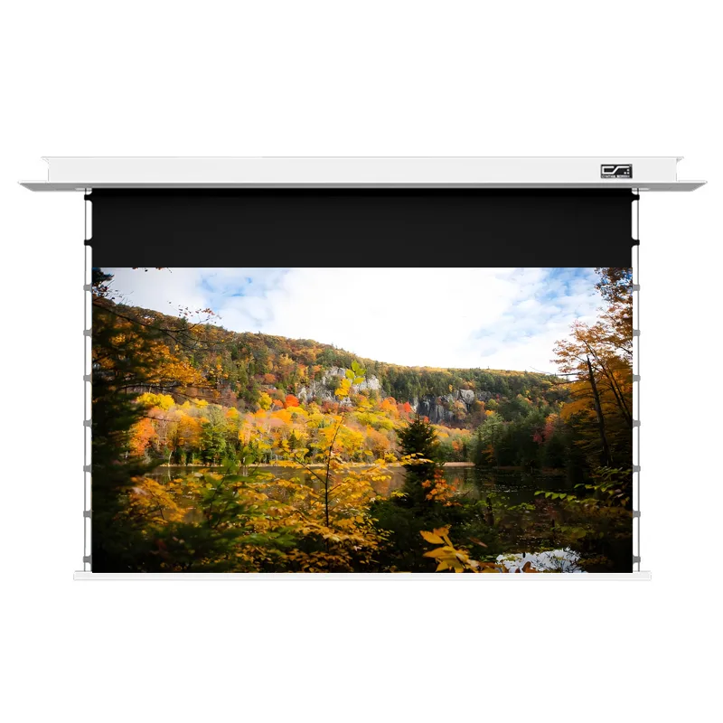 ceiling recessed screen