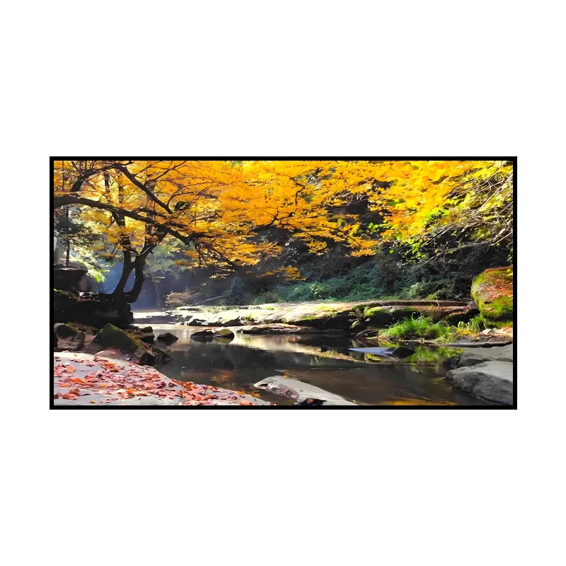 Acoustic Transparent Screen